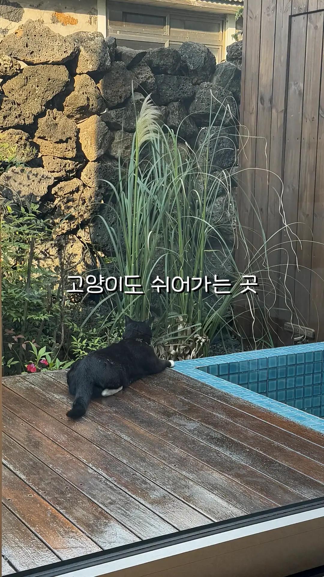 제주 산책자의 집
